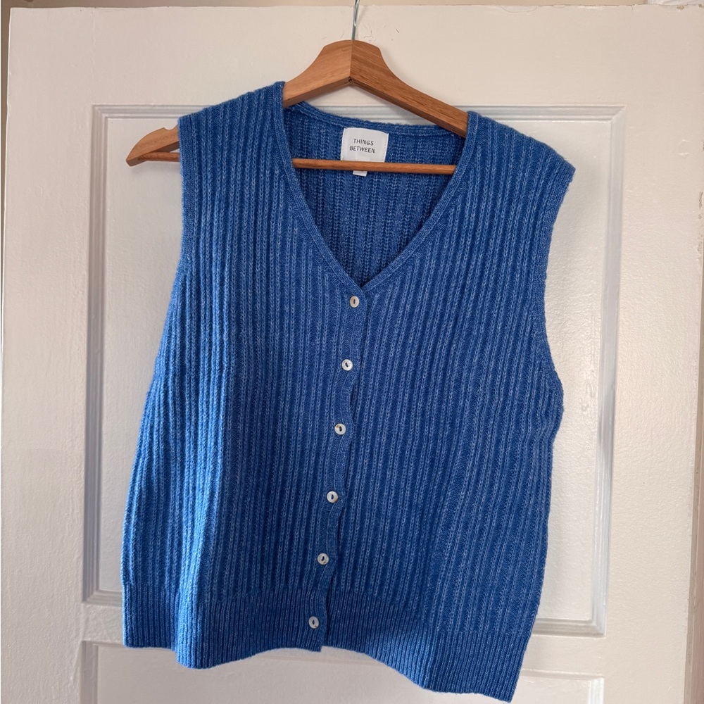 Things Between Blue V-Neck Sweater Vest